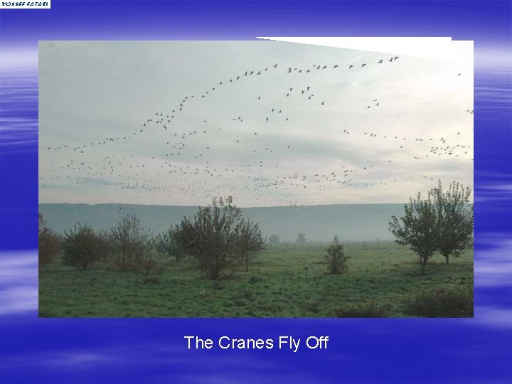 The Cranes Fly Off 