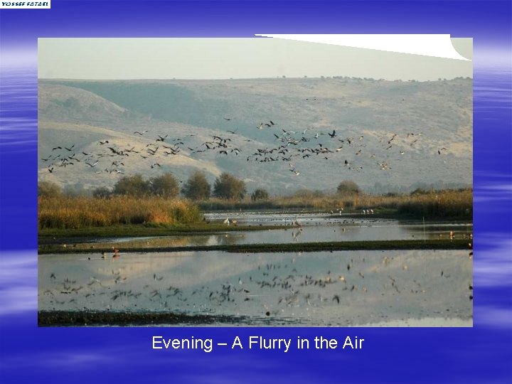 Evening – A Flurry in the Air 