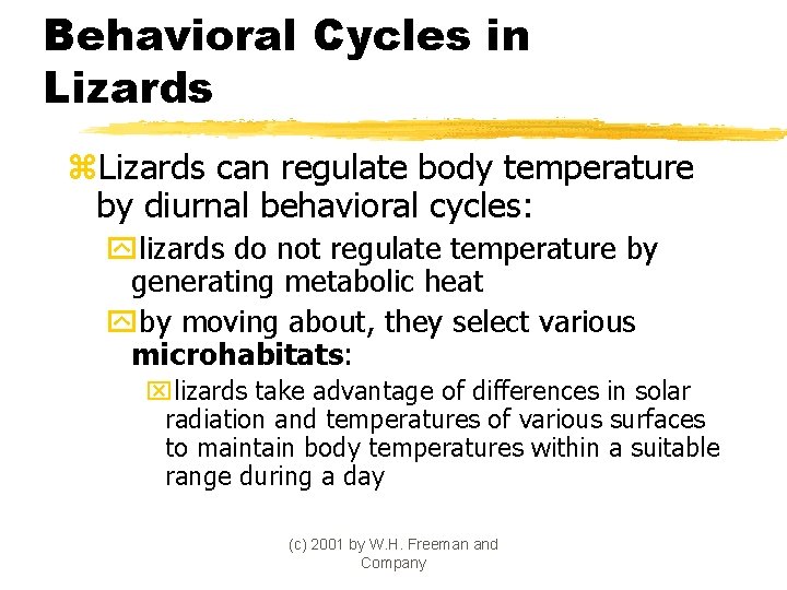 Behavioral Cycles in Lizards z. Lizards can regulate body temperature by diurnal behavioral cycles:
