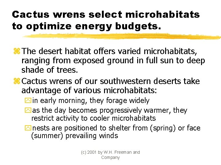 Cactus wrens select microhabitats to optimize energy budgets. z The desert habitat offers varied
