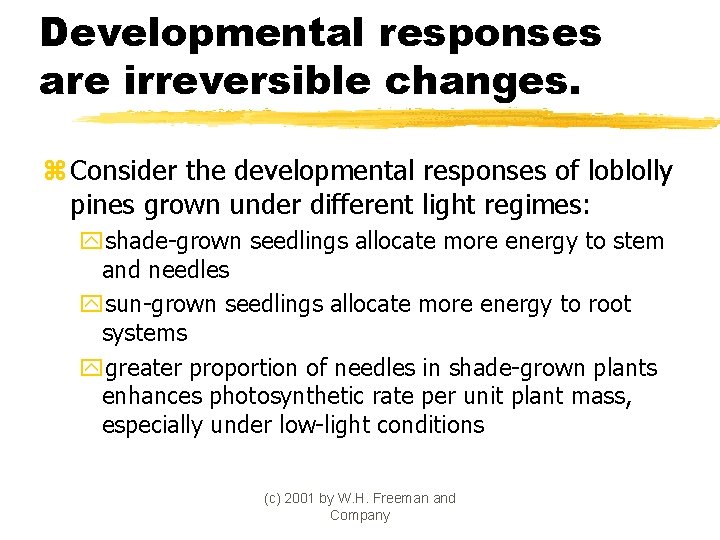 Developmental responses are irreversible changes. z Consider the developmental responses of loblolly pines grown