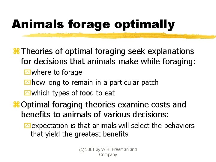 Animals forage optimally z Theories of optimal foraging seek explanations for decisions that animals
