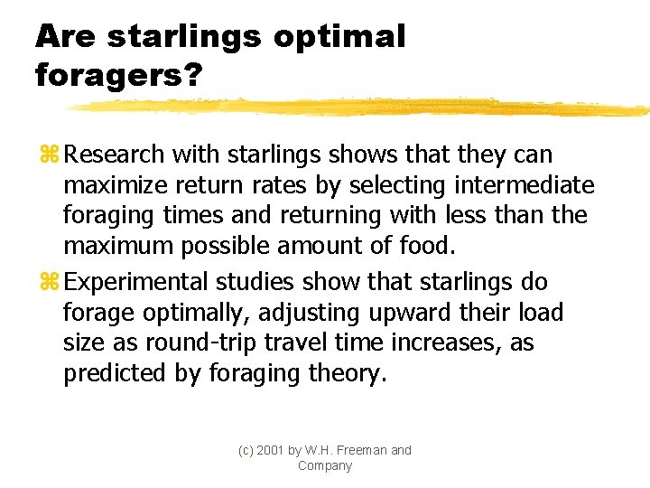 Are starlings optimal foragers? z Research with starlings shows that they can maximize return