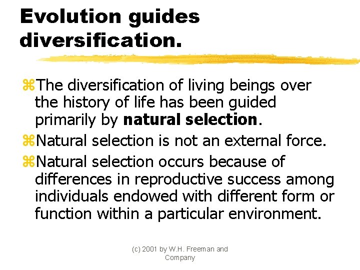 Evolution guides diversification. z. The diversification of living beings over the history of life