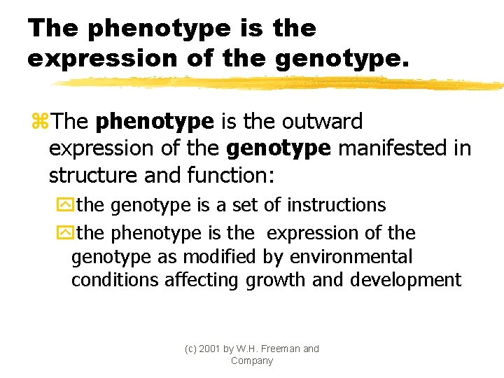 The phenotype is the expression of the genotype. z. The phenotype is the outward