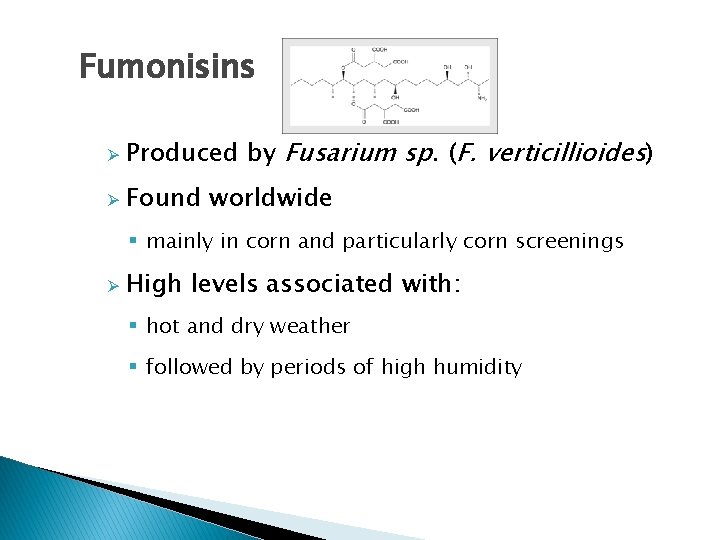 Fumonisins Ø Produced by Fusarium sp. (F. verticillioides) Ø Found worldwide § mainly in