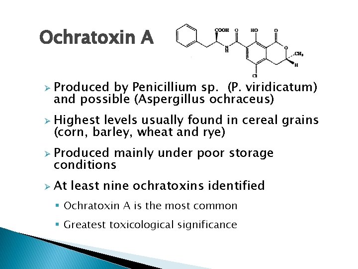 Ochratoxin A Ø Ø Produced by Penicillium sp. (P. viridicatum) and possible (Aspergillus ochraceus)