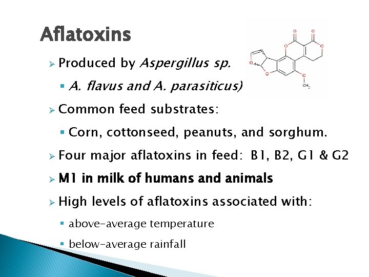 Aflatoxins Ø Produced by Aspergillus sp. § A. flavus and A. parasiticus) Ø Common