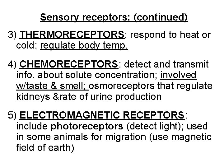 Sensory receptors: (continued) 3) THERMORECEPTORS: respond to heat or cold; regulate body temp. 4)