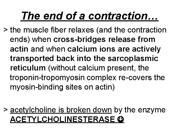 The end of a contraction… > the muscle fiber relaxes (and the contraction ends)