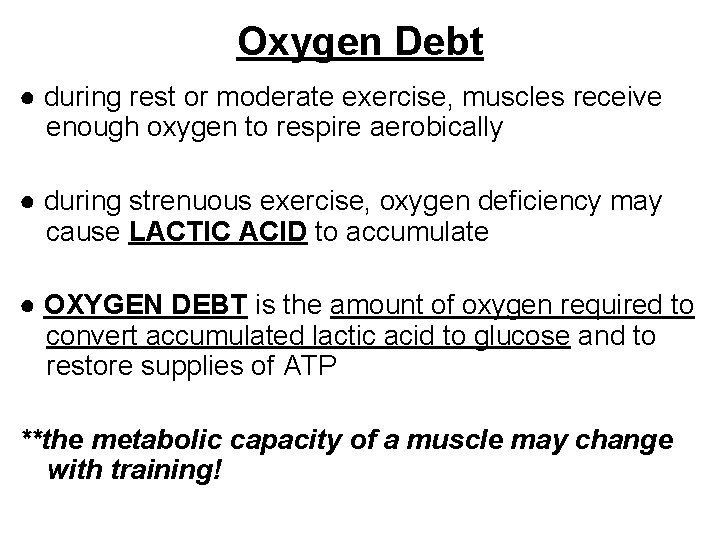 Oxygen Debt ● during rest or moderate exercise, muscles receive enough oxygen to respire