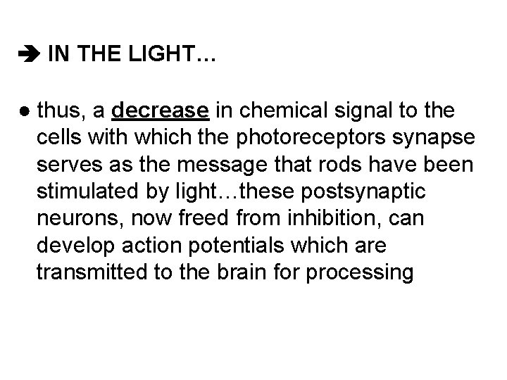  IN THE LIGHT… ● thus, a decrease in chemical signal to the cells
