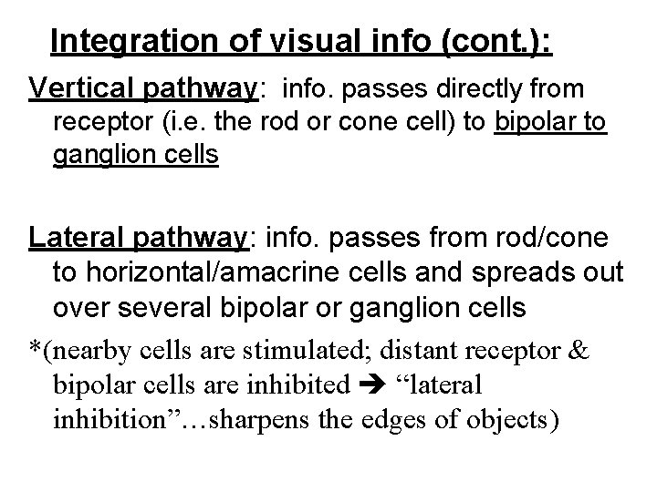 Integration of visual info (cont. ): Vertical pathway: info. passes directly from receptor (i.