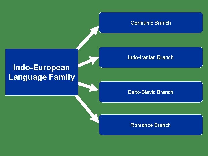 Germanic Branch Indo-Iranian Branch Indo-European Language Family Balto-Slavic Branch Romance Branch 