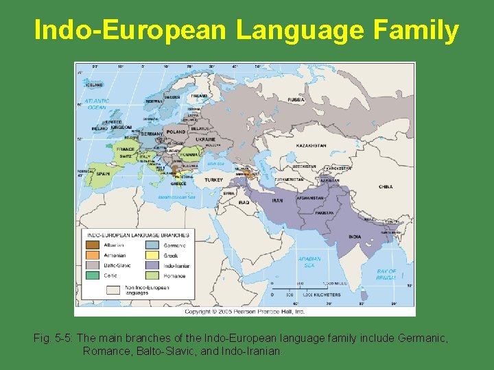 Indo-European Language Family Fig. 5 -5: The main branches of the Indo-European language family