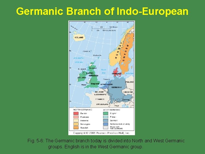 Germanic Branch of Indo-European Fig. 5 -6: The Germanic branch today is divided into