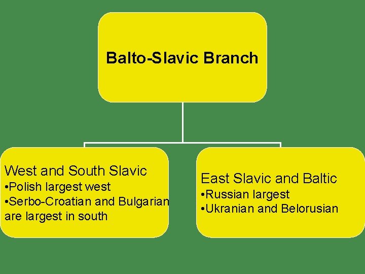 Balto-Slavic Branch West and South Slavic • Polish largest west • Serbo-Croatian and Bulgarian