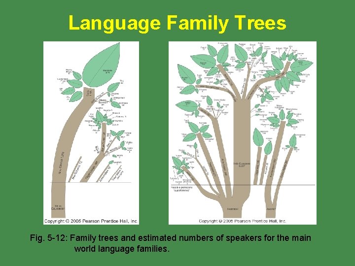Language Family Trees Fig. 5 -12: Family trees and estimated numbers of speakers for