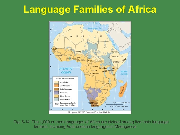Language Families of Africa Fig. 5 -14: The 1, 000 or more languages of