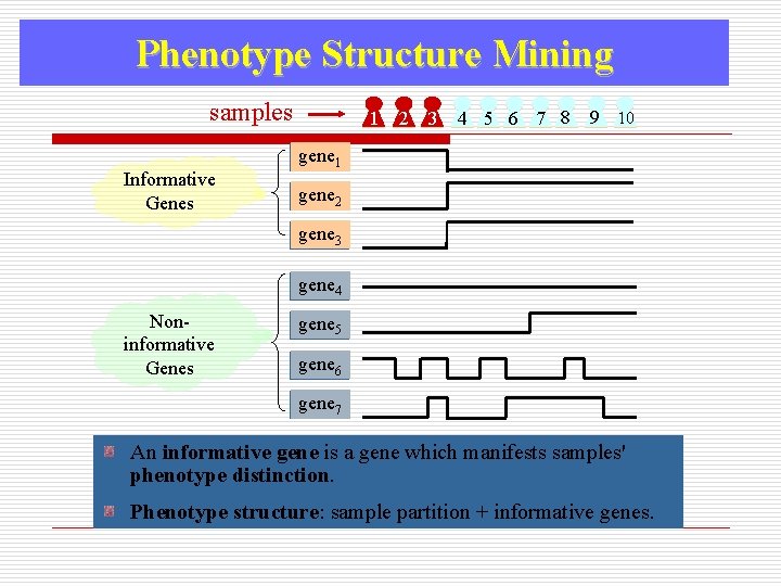 Phenotype Structure Mining samples Informative Genes 1 2 3 4 5 6 7 8