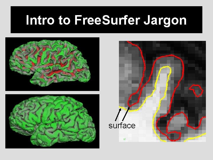 Intro to Free. Surfer Jargon surface 