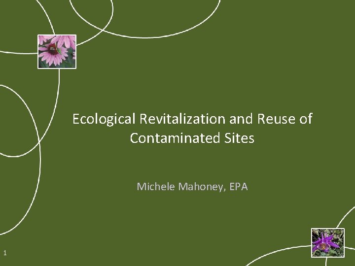 Ecological Revitalization and Reuse of Contaminated Sites Michele Mahoney, EPA 1 