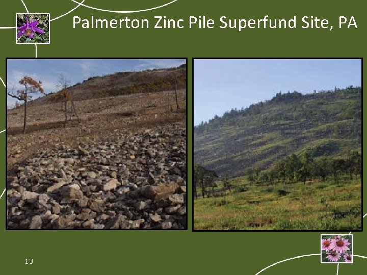 Palmerton Zinc Pile Superfund Site, PA 13 