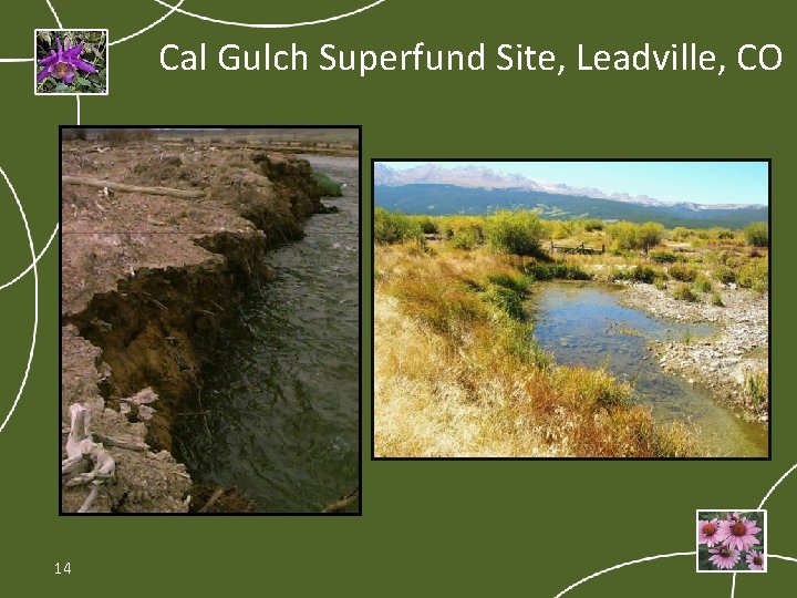 Cal Gulch Superfund Site, Leadville, CO 14 