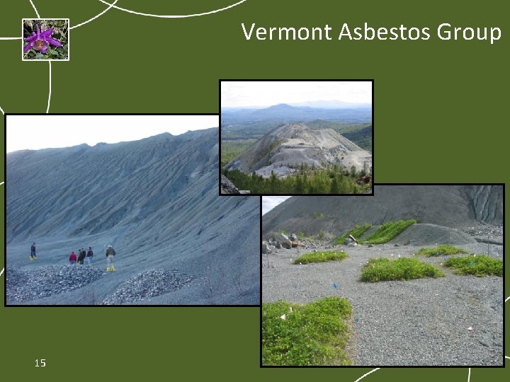 Vermont Asbestos Group 15 