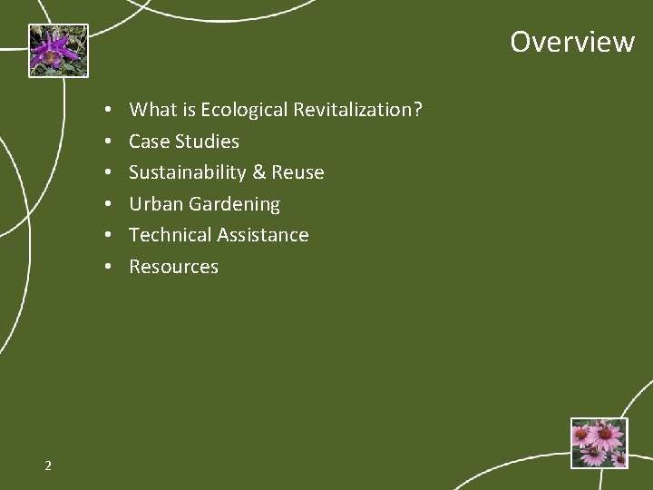 Overview • • • 2 What is Ecological Revitalization? Case Studies Sustainability & Reuse