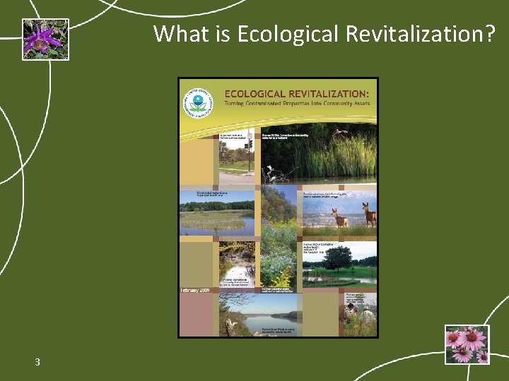 What is Ecological Revitalization? 3 