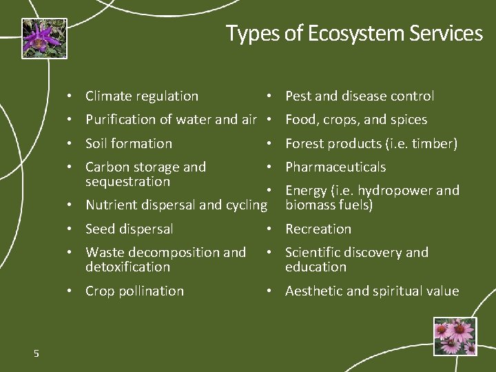 Types of Ecosystem Services • Climate regulation • Pest and disease control • Purification