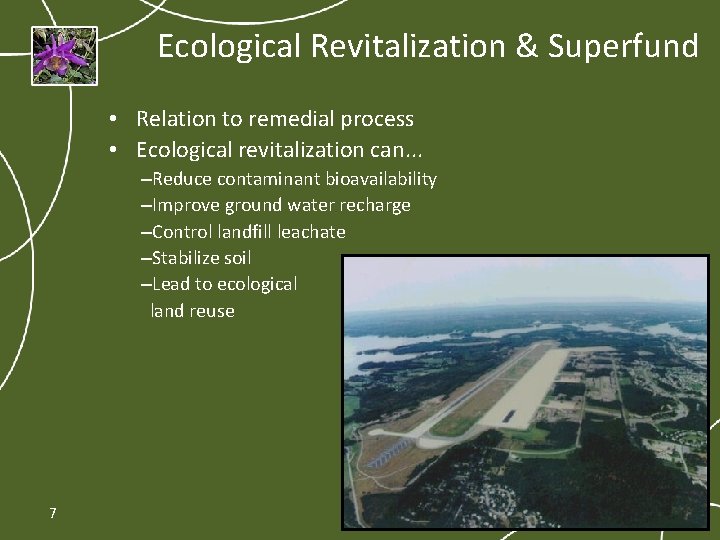 Ecological Revitalization & Superfund • Relation to remedial process • Ecological revitalization can. .