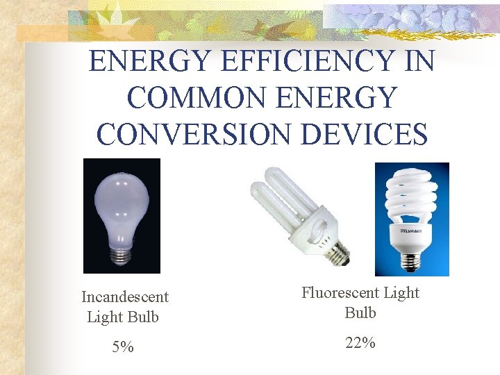 ENERGY EFFICIENCY IN COMMON ENERGY CONVERSION DEVICES Incandescent Light Bulb Fluorescent Light Bulb 5%