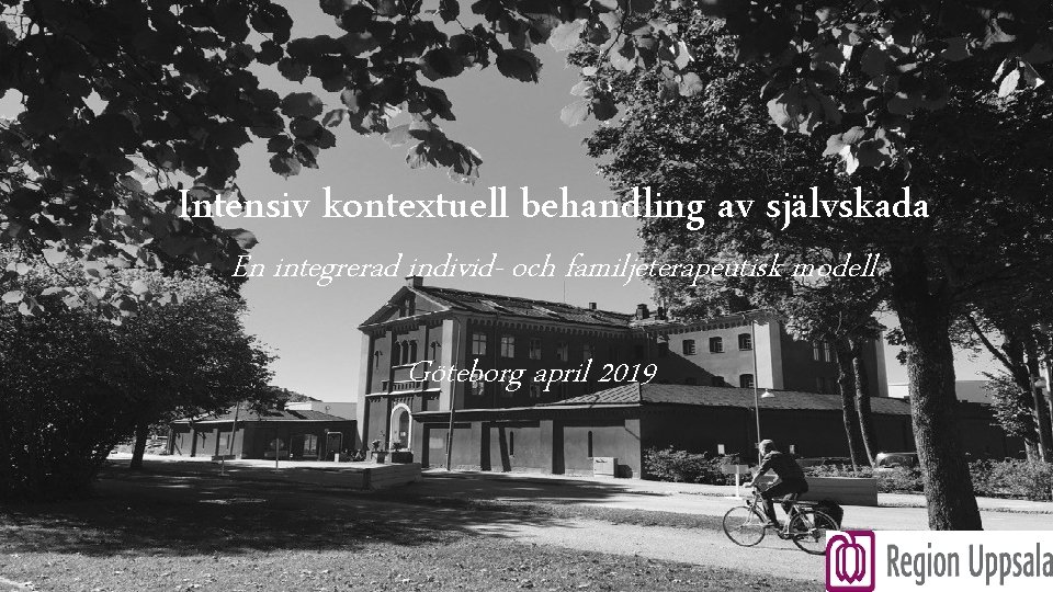 Intensiv kontextuell behandling av självskada En integrerad individ- och familjeterapeutisk modell Göteborg april 2019