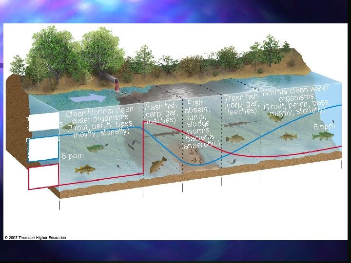 lean an Normal cm le C s Types of s water organisbass, organism (Trout,