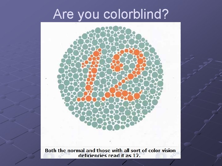 Are you colorblind? 