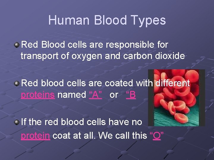 Human Blood Types Red Blood cells are responsible for transport of oxygen and carbon