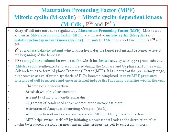 Maturation Promoting Factor (MPF) Mitotic cyclin (M-cyclin) + Mitotic cyclin-dependent kinase (M-Cdk , P