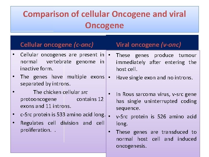 Comparison of cellular Oncogene and viral Oncogene Cellular oncogene (c-onc) • Cellular oncogenes are