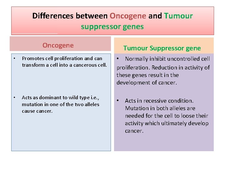 Differences between Oncogene and Tumour suppressor genes Oncogene • Promotes cell proliferation and can