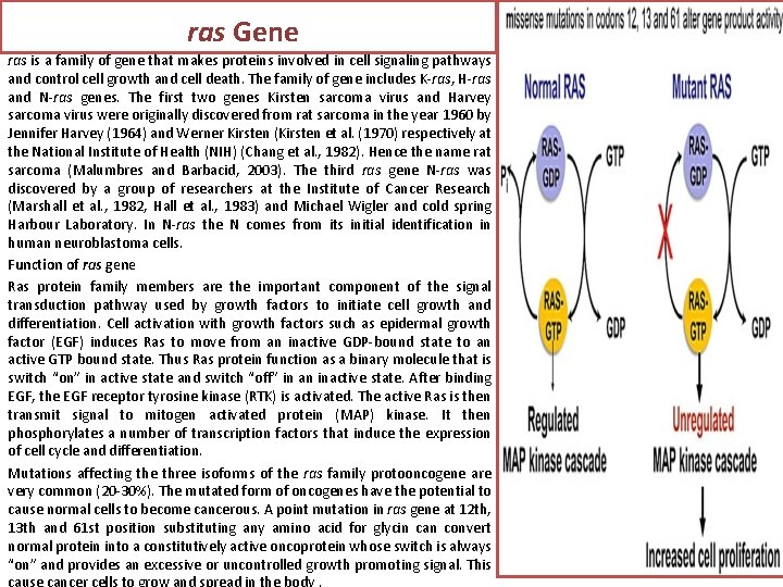 ras Gene ras is a family of gene that makes proteins involved in cell