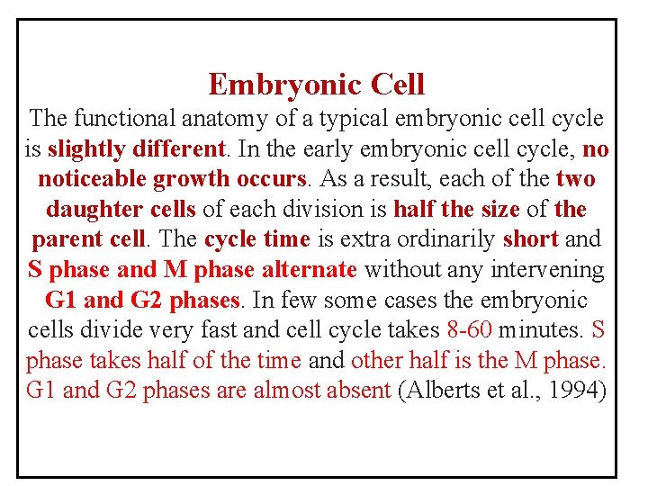 Embryonic Cell The functional anatomy of a typical embryonic cell cycle is slightly different.