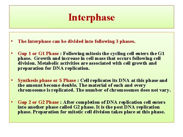 Interphase • The Interphase can be divided into following 3 phases. • Gap 1