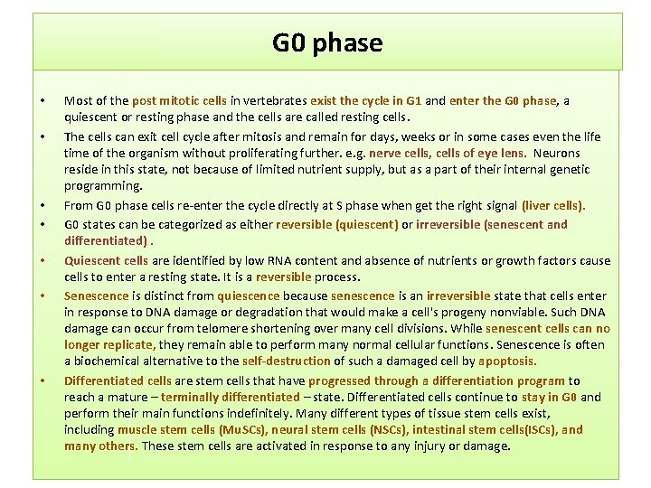 G 0 phase • • Most of the post mitotic cells in vertebrates exist