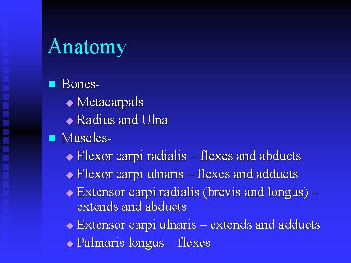 Anatomy n n Bonesu Metacarpals u Radius and Ulna Musclesu Flexor carpi radialis –