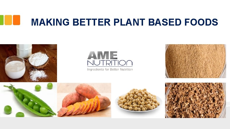 MAKING BETTER PLANT BASED FOODS 