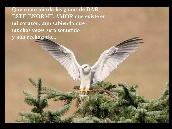 Que yo no pierda las ganas de DAR ESTE ENORME AMOR que existe en