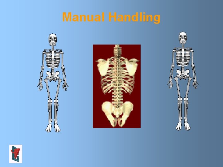 Manual Handling Manual Handling