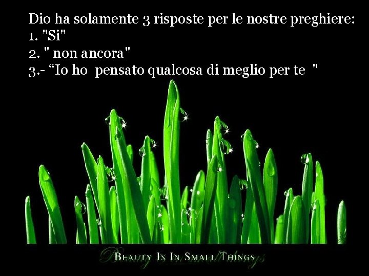 Dio ha solamente 3 risposte per le nostre preghiere: 1. "Si" 2. " non